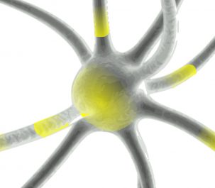 neurone