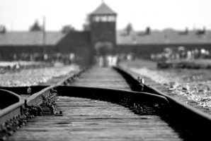 binari auschwitz