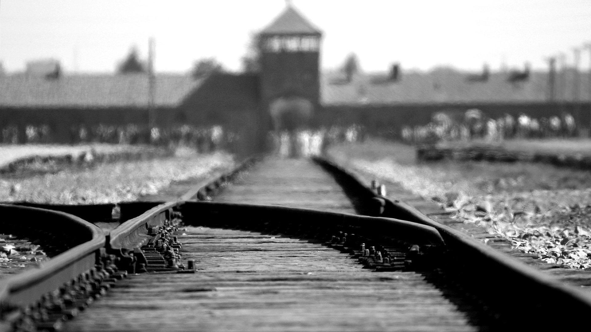 binari auschwitz