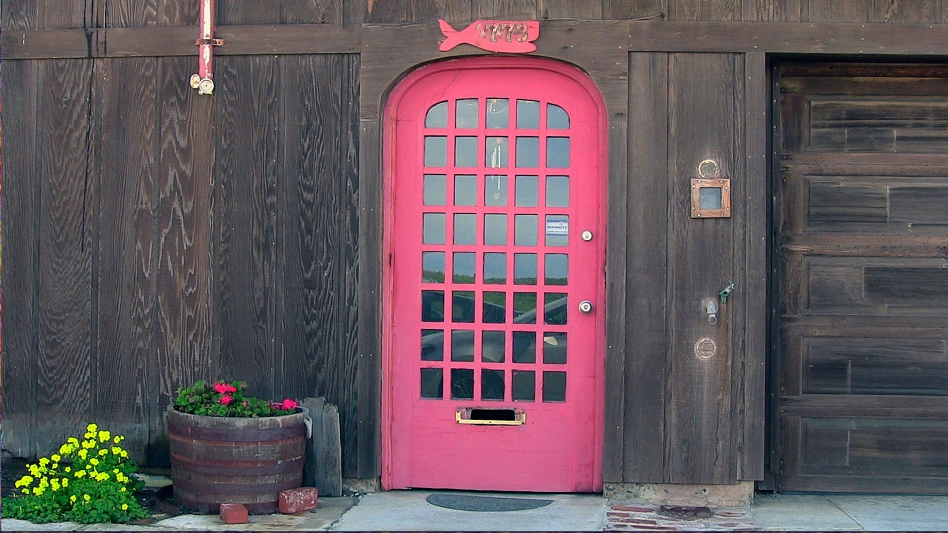 porta fuxia