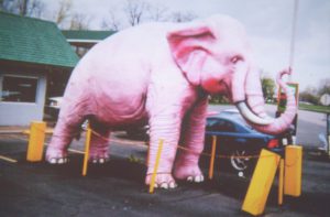 elefante rosa