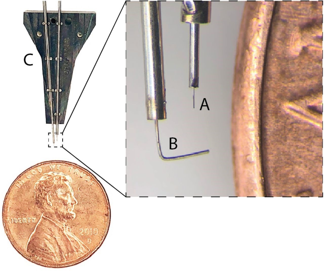 Dettaglio della cartuccia (ricambiabile in meno di 10 minuti) in dotazione al robot sviluppato dal team Neuralink. Un ulteriore ingrandimento rivela: A. l’ago sottilissimo che inserisce gli elettrodi con precisione millimetrica e B. la guida per mantenere gli elettrodi in posizione durante l’inserimento.